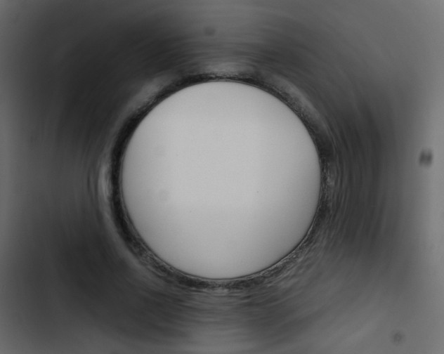 X0000103900734200809191054