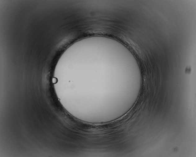 X0000103900735200809191054