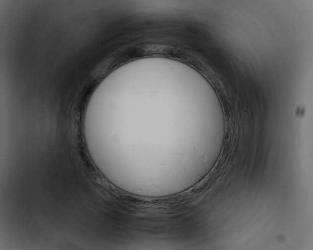 X0000103900737200809191055