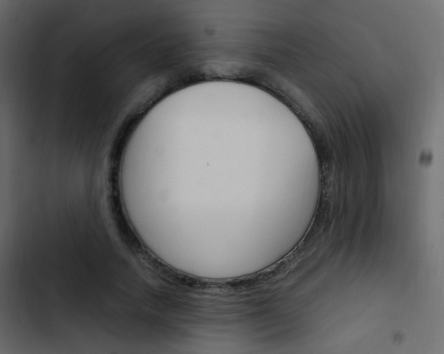 X0000103900738200809191055