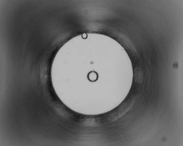 X0000103900740200809191055