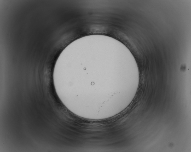 X0000103900741200809191055