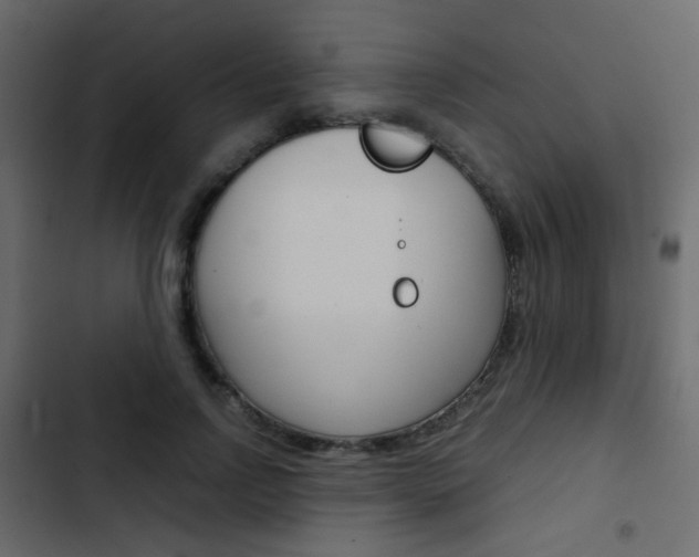 X0000103900742200809191055
