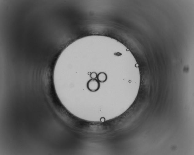X0000103900744200809191055