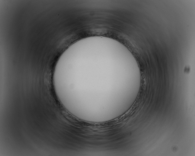 X0000103900745200809191055