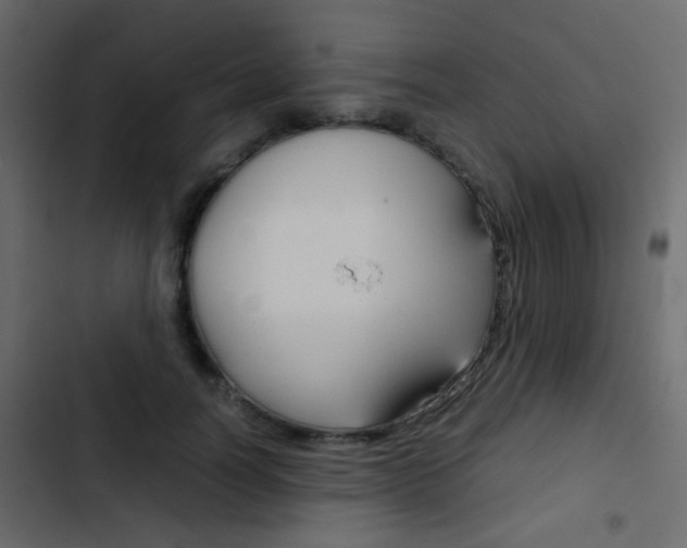 X0000103900746200809191055