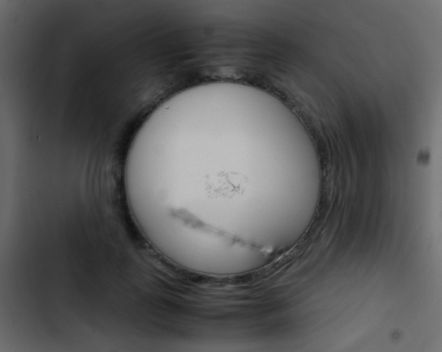 X0000103900747200809191055