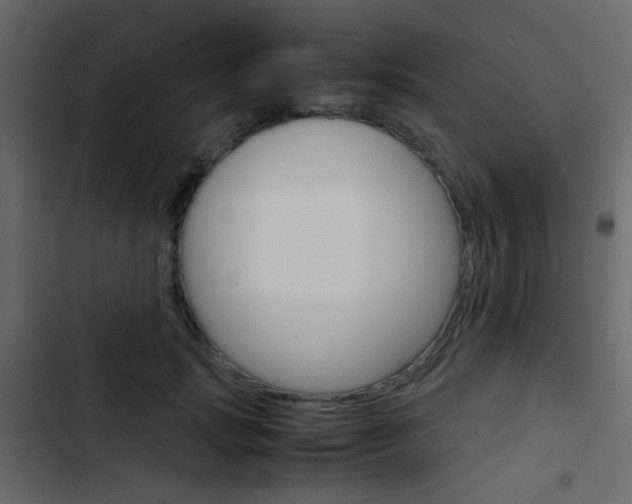 X0000103900749200809191055