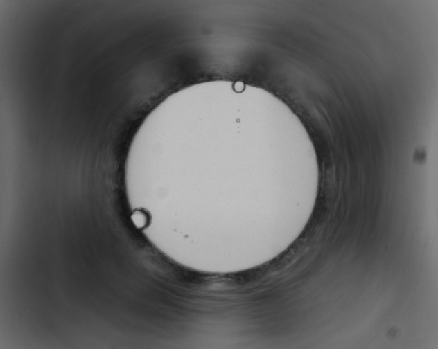 X0000103900750200809191055