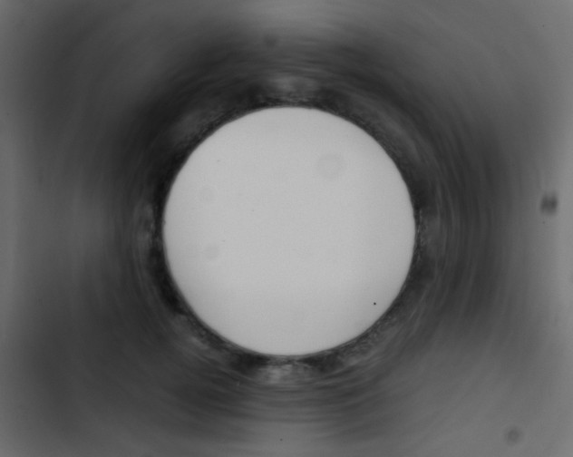 X0000103900752200809191055