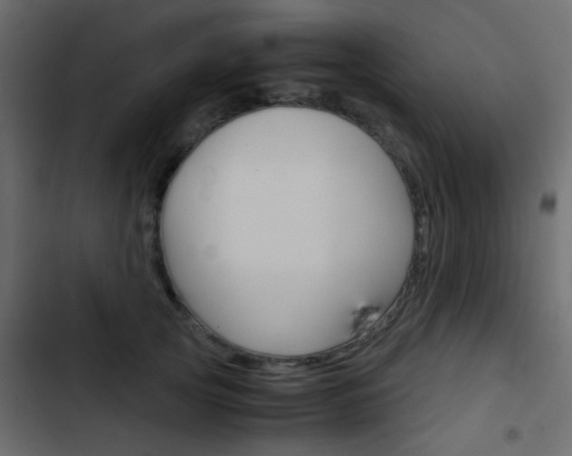 X0000103900753200809191055