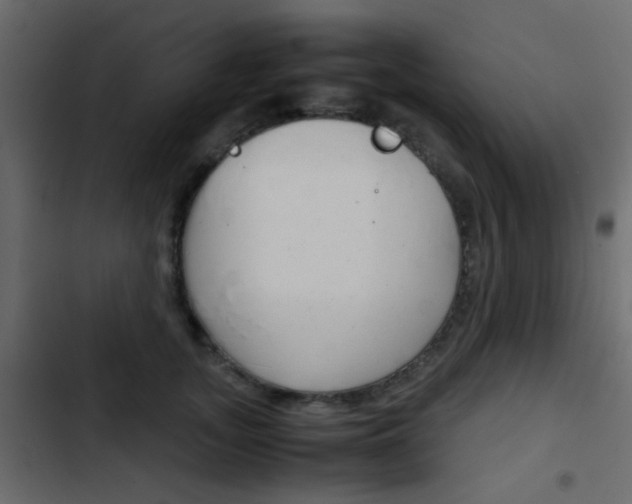 X0000103900755200809191055