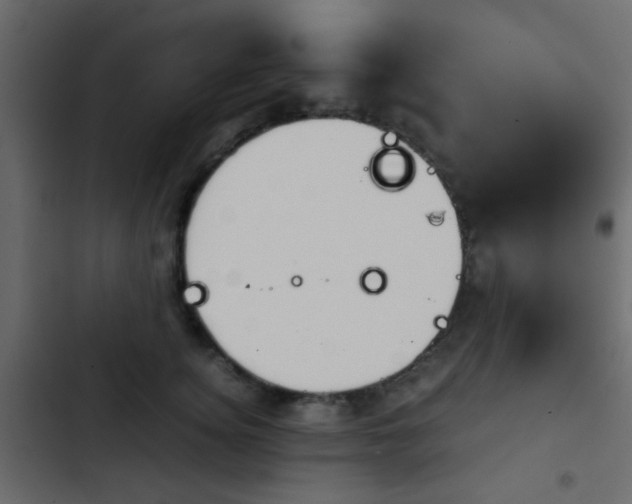 X0000103900756200809191055
