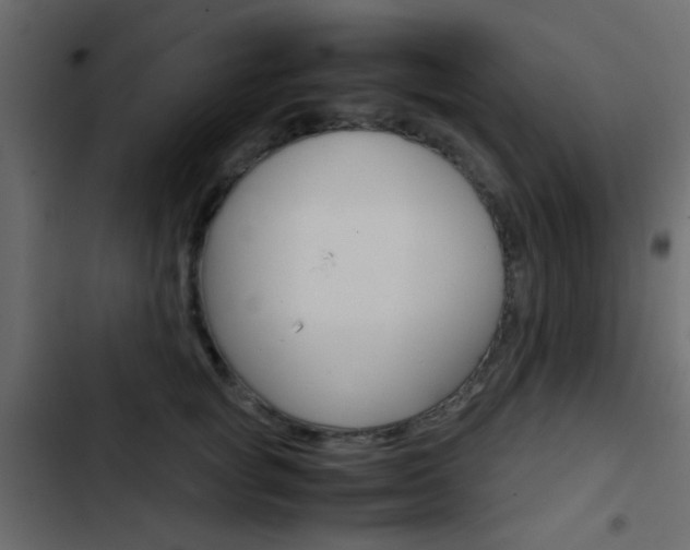 X0000103900757200809191055
