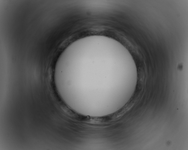 X0000103900758200809191055