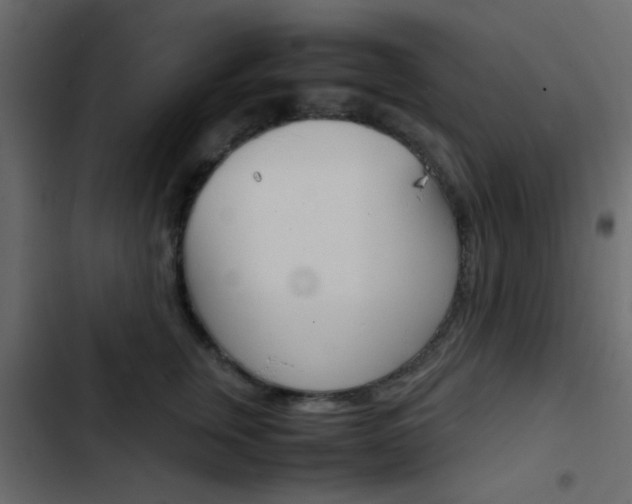 X0000103900759200809191055