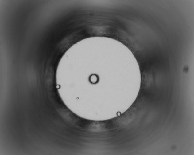 X0000103900760200809191055