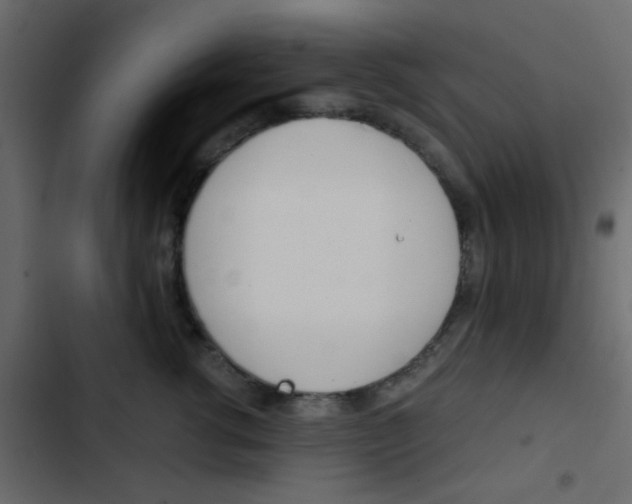 X0000103900762200809191055