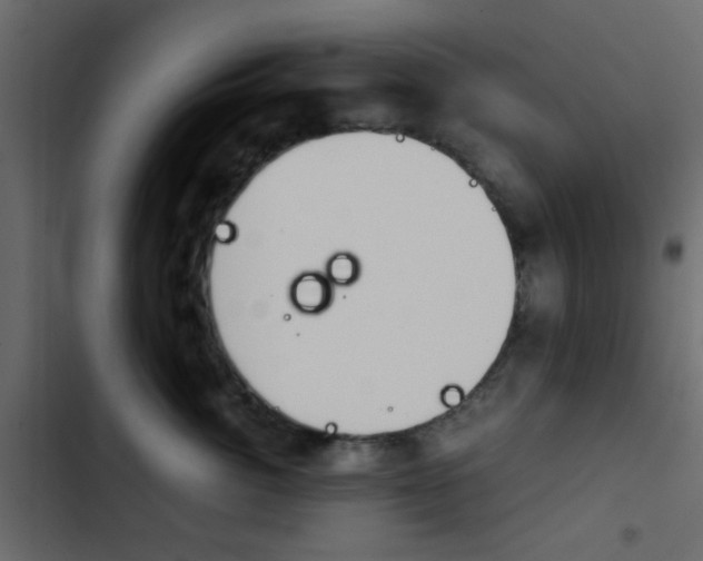 X0000103900764200809191055