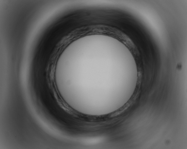 X0000103900765200809191055