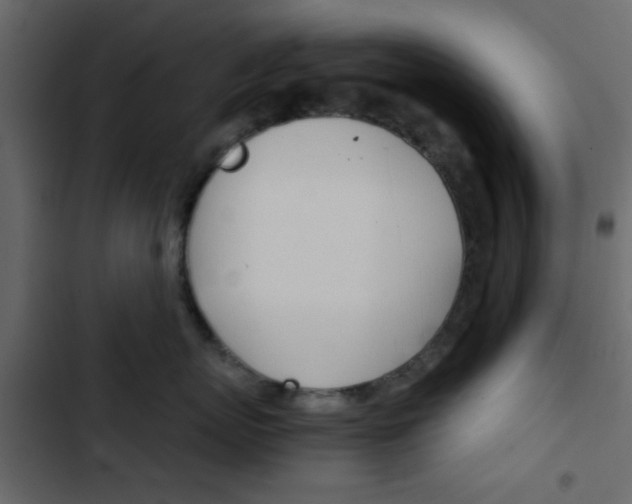 X0000103900767200809191055