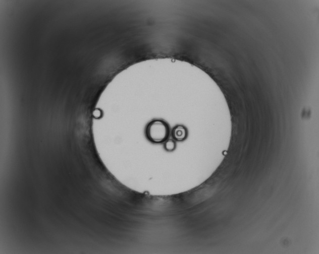 X0000103900768200809191055
