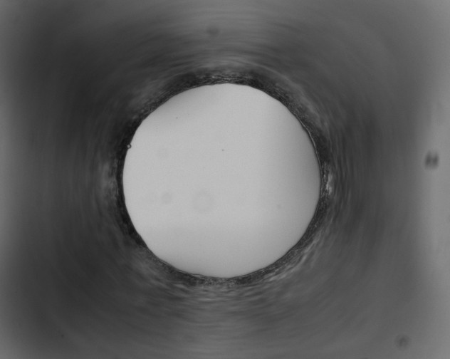 X0000103900771200809191054