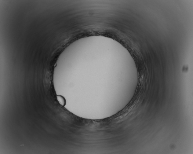 X0000103900772200809191054