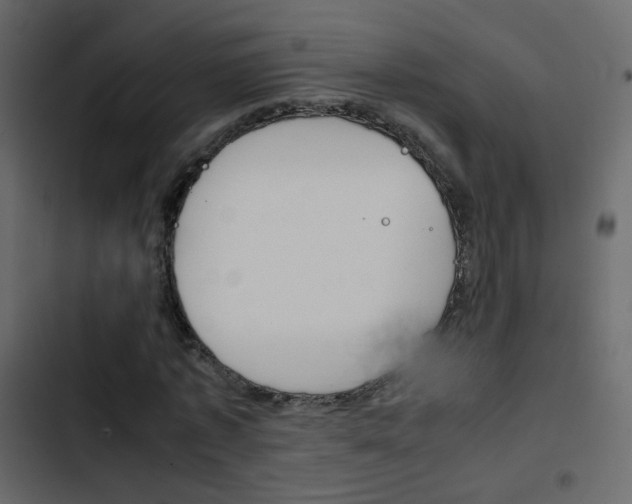 X0000103900773200809191054