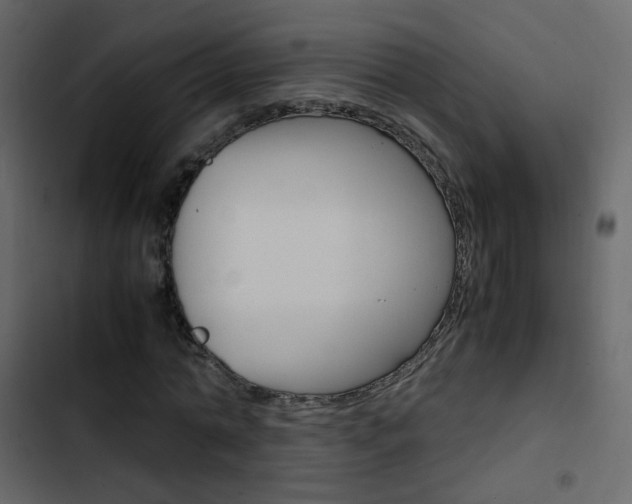 X0000103900774200809191054