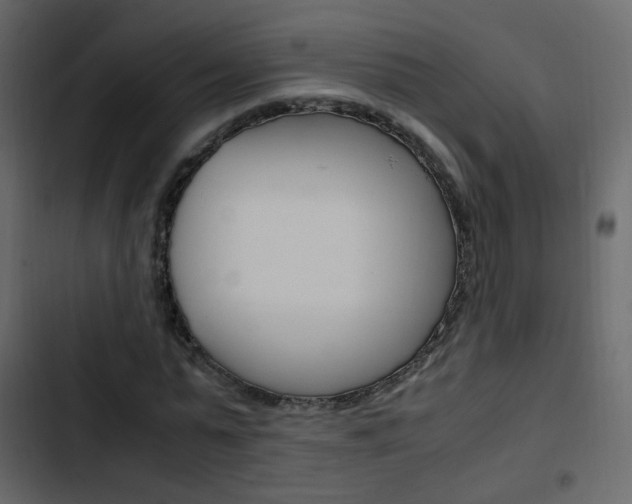 X0000103900775200809191054