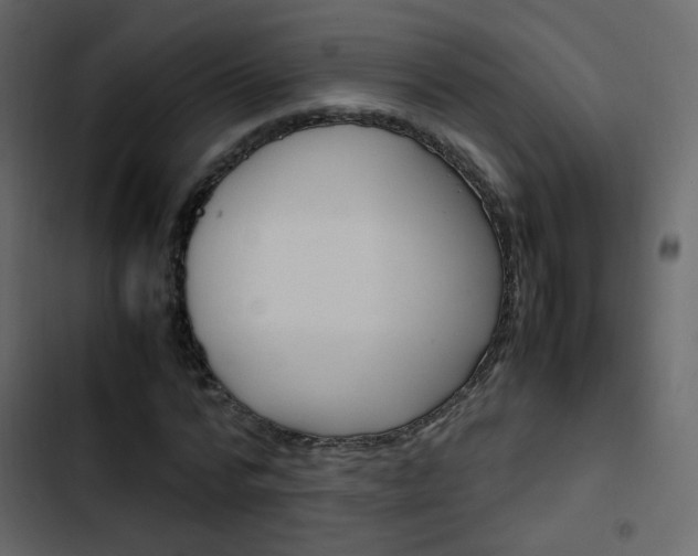 X0000103900776200809191054