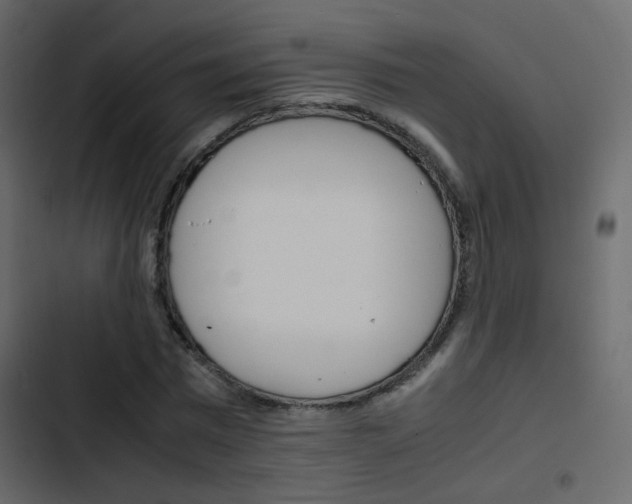 X0000103900777200809191054