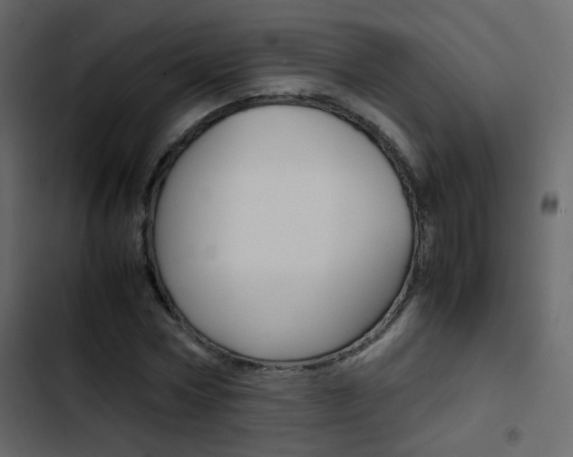 X0000103900778200809191054