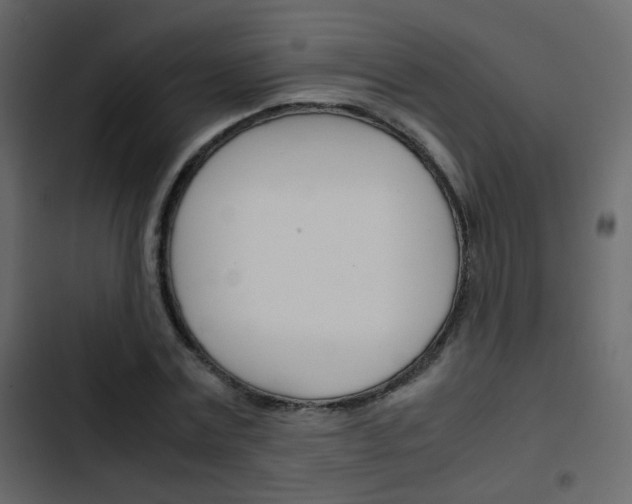 X0000103900779200809191054