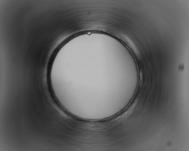 X0000103900780200809191054