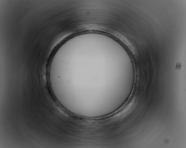 X0000103900782200809191054