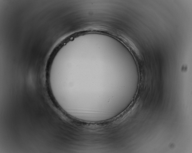 X0000103900784200809191054