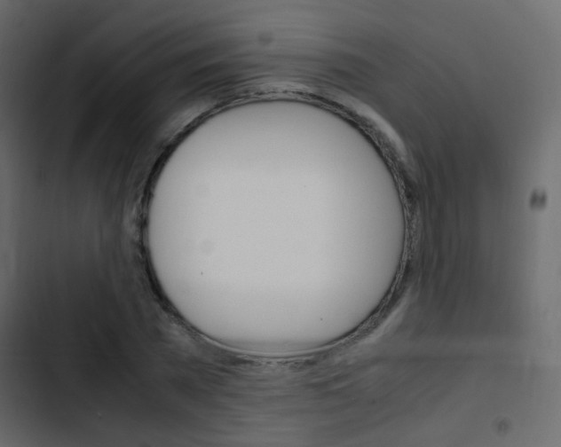 X0000103900785200809191054