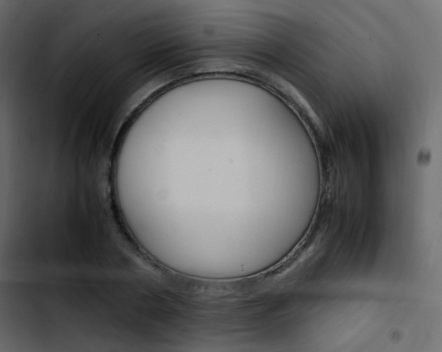 X0000103900786200809191054