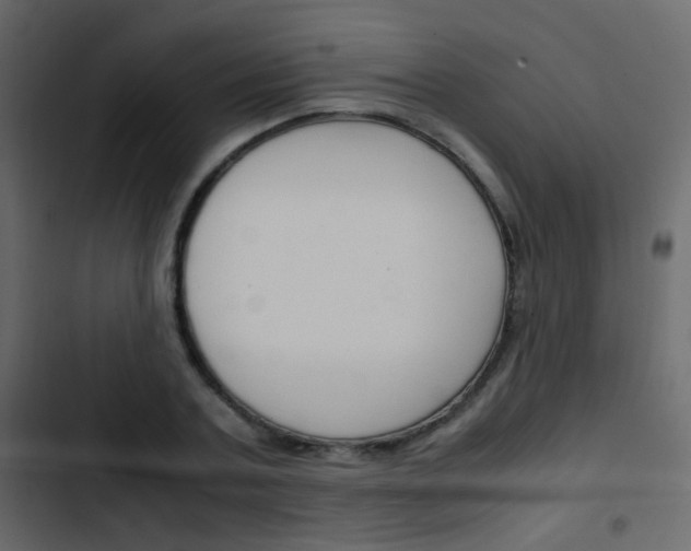X0000103900787200809191054