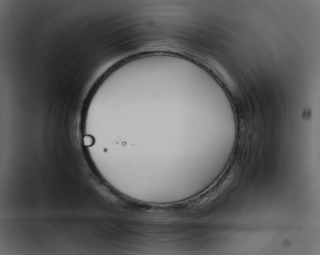 X0000103900788200809191054