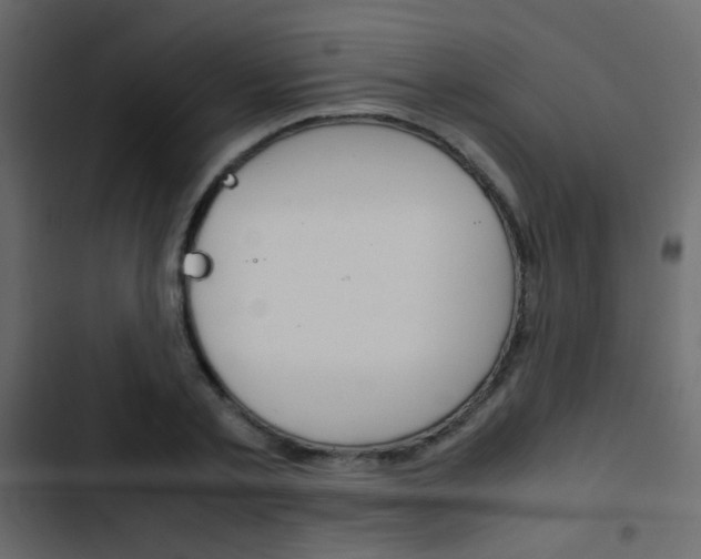 X0000103900789200809191054