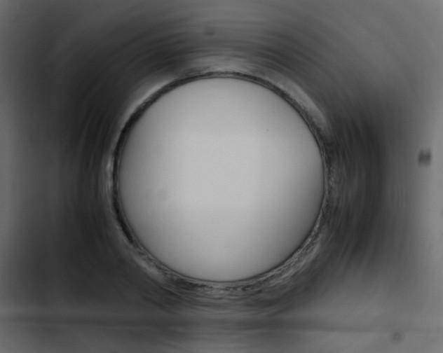 X0000103900790200809191054