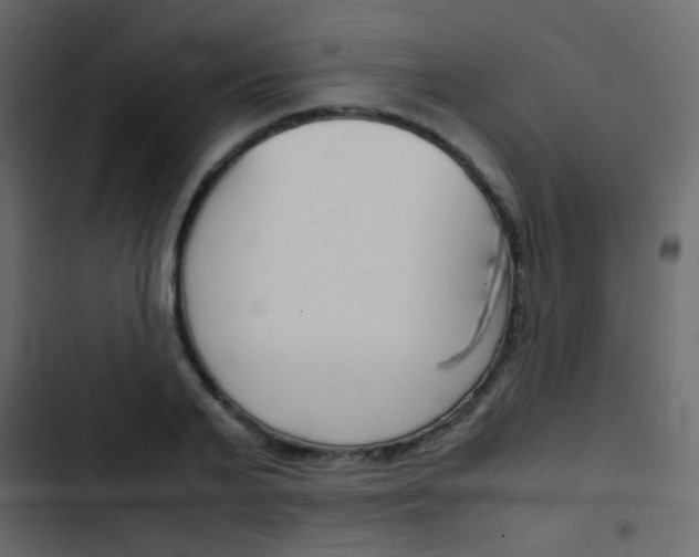 X0000103900791200809191054