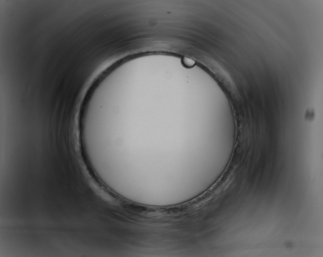 X0000103900792200809191054