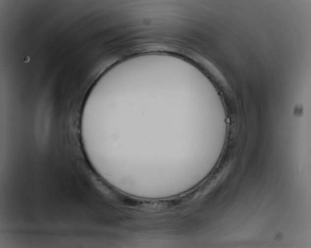 X0000103900793200809191054