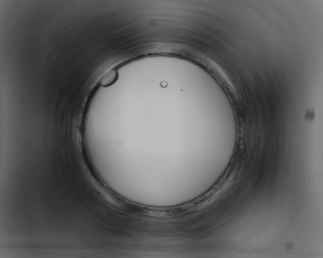X0000103900794200809191054
