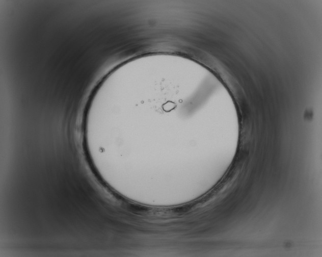 X0000103900795200809191054