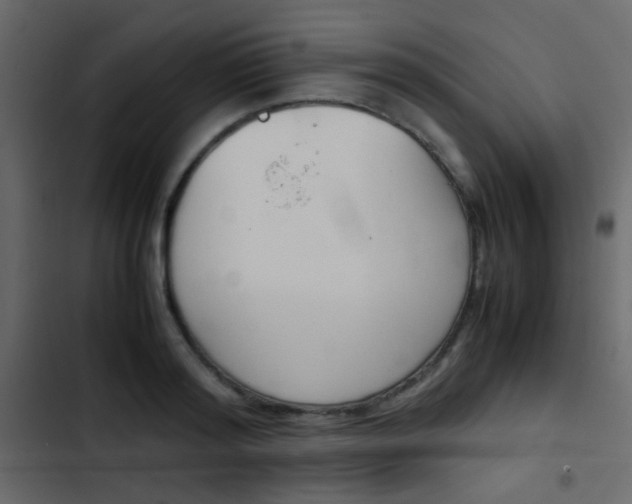 X0000103900796200809191054